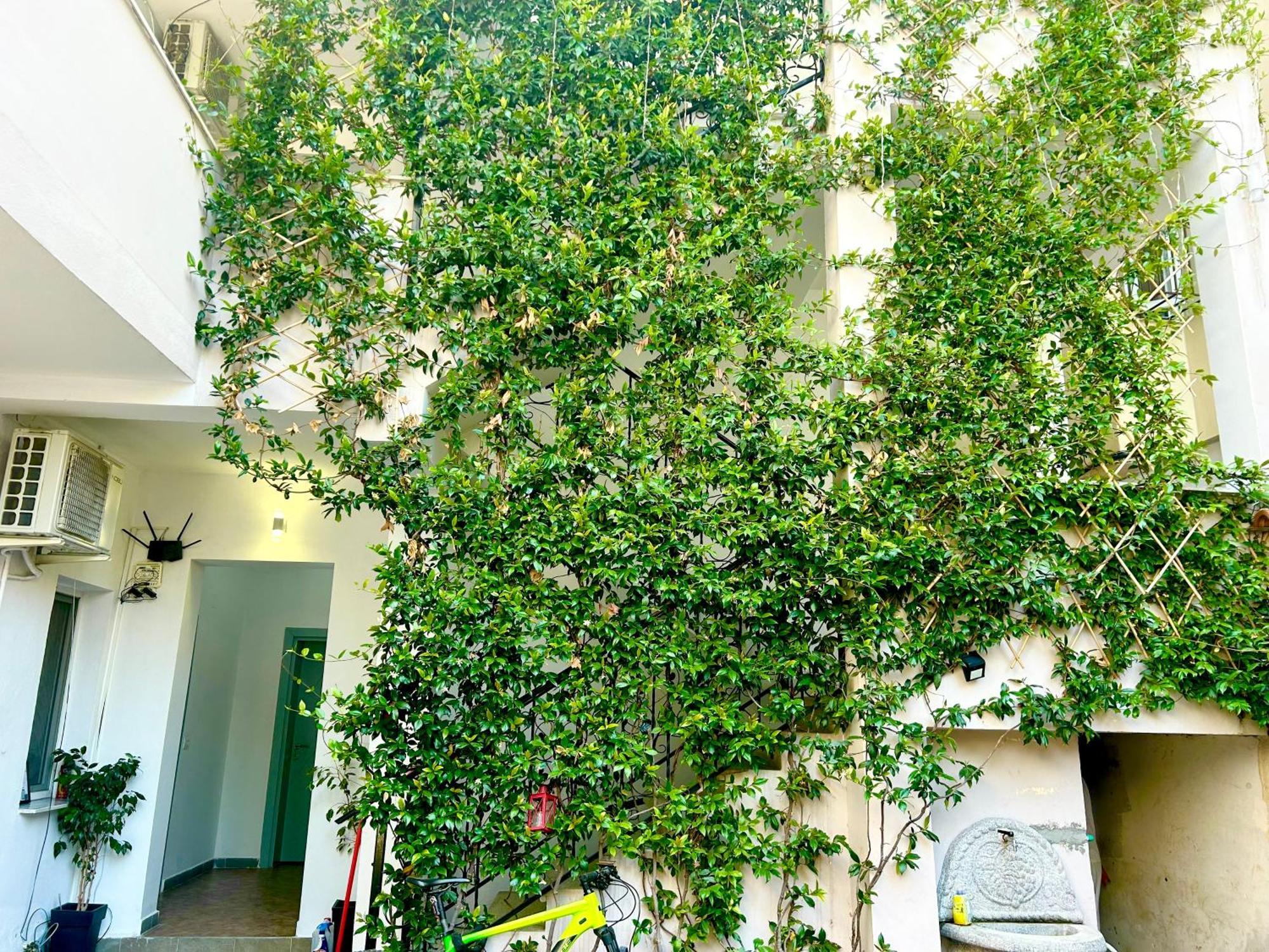 Budget Retreat Tirana & Studios 外观 照片